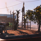 Image for article titled Fallout 4's Next DLC Drops April 12th, Lets You Collect Monsters Like Pokémon